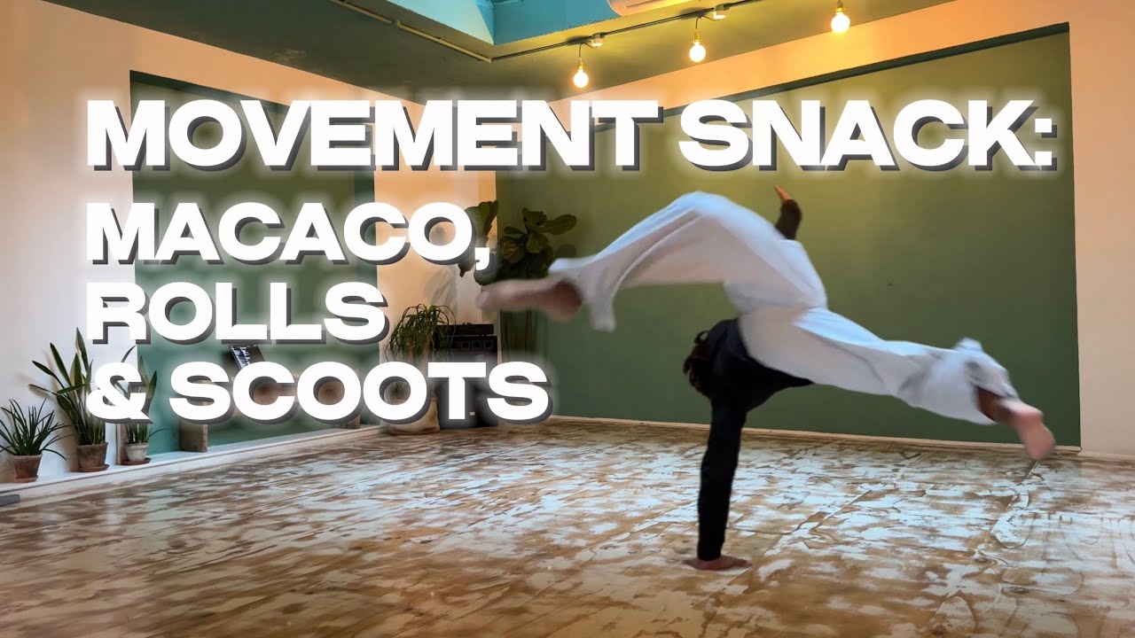 MOVEMENT SNACK: MACACO, ROLLS & SCOOTS