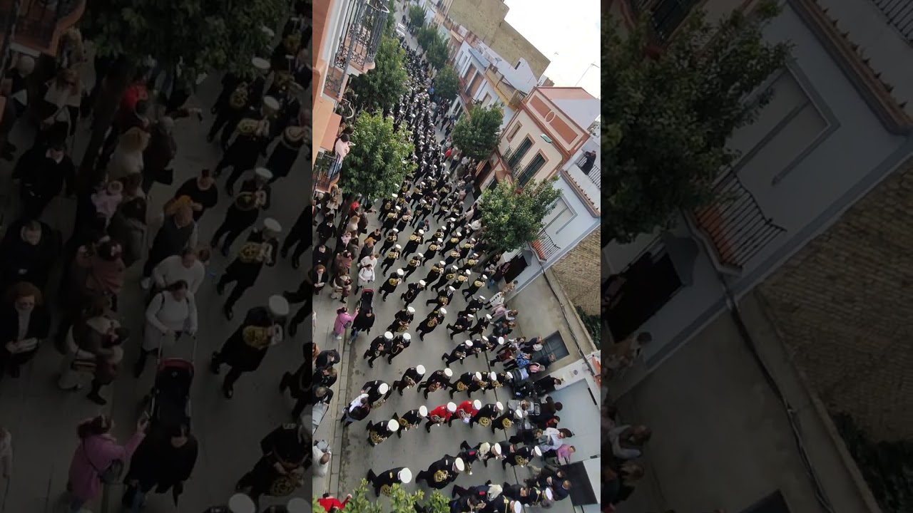 SAN SEBASTIÁN 2025 (Patrón de Los Palacios y Villafranca) - Marcha el “El Amor”