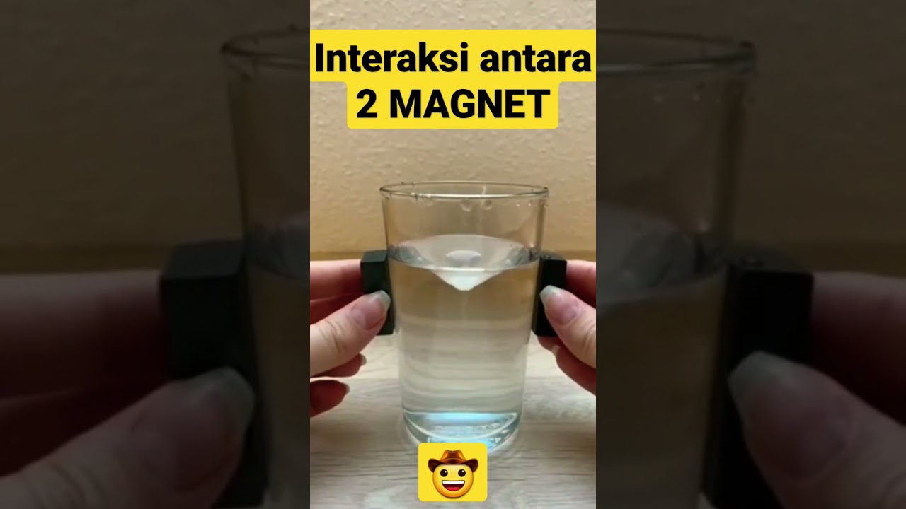 Interaksi antara 2 Magnet #magnet #magnetic #fisika #physics #interaksi #sains #fenomena #percobaan