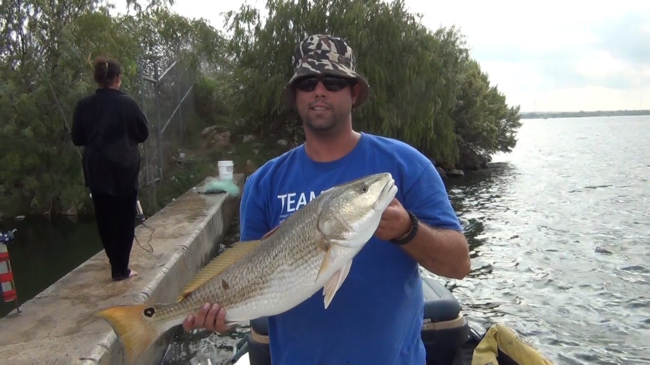 Calaveras Lake, Big Bait for Big Fish 2