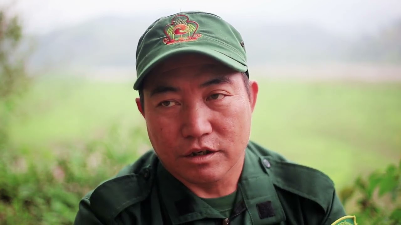 Protected Areas of Bhutan: Phibsoo Wildlife Sanctuary (English Narration)