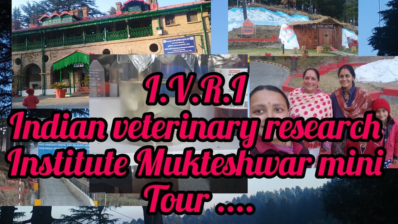 I.V.R.I Indian veterinary research institute Mukteshwar a mini tour to all of you 😊 #1000subscribers