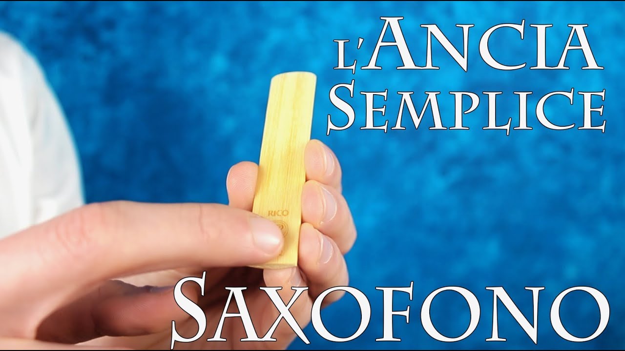 SAXOFONO – l'ancia semplice