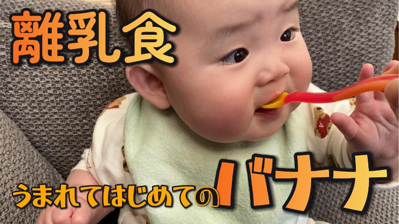 【娘の離乳食】生まれて初めてのバナナを食べてみたよ！
