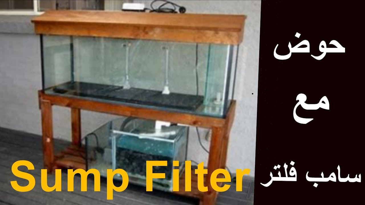 مراجعه حوض اسماك مجهز بسامب فلتر sump filter