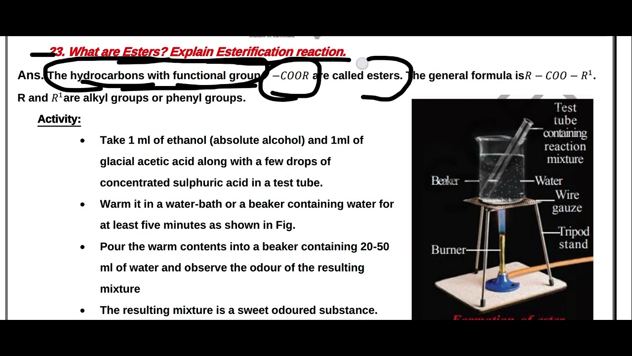 Carbon compounds Revision part 4 