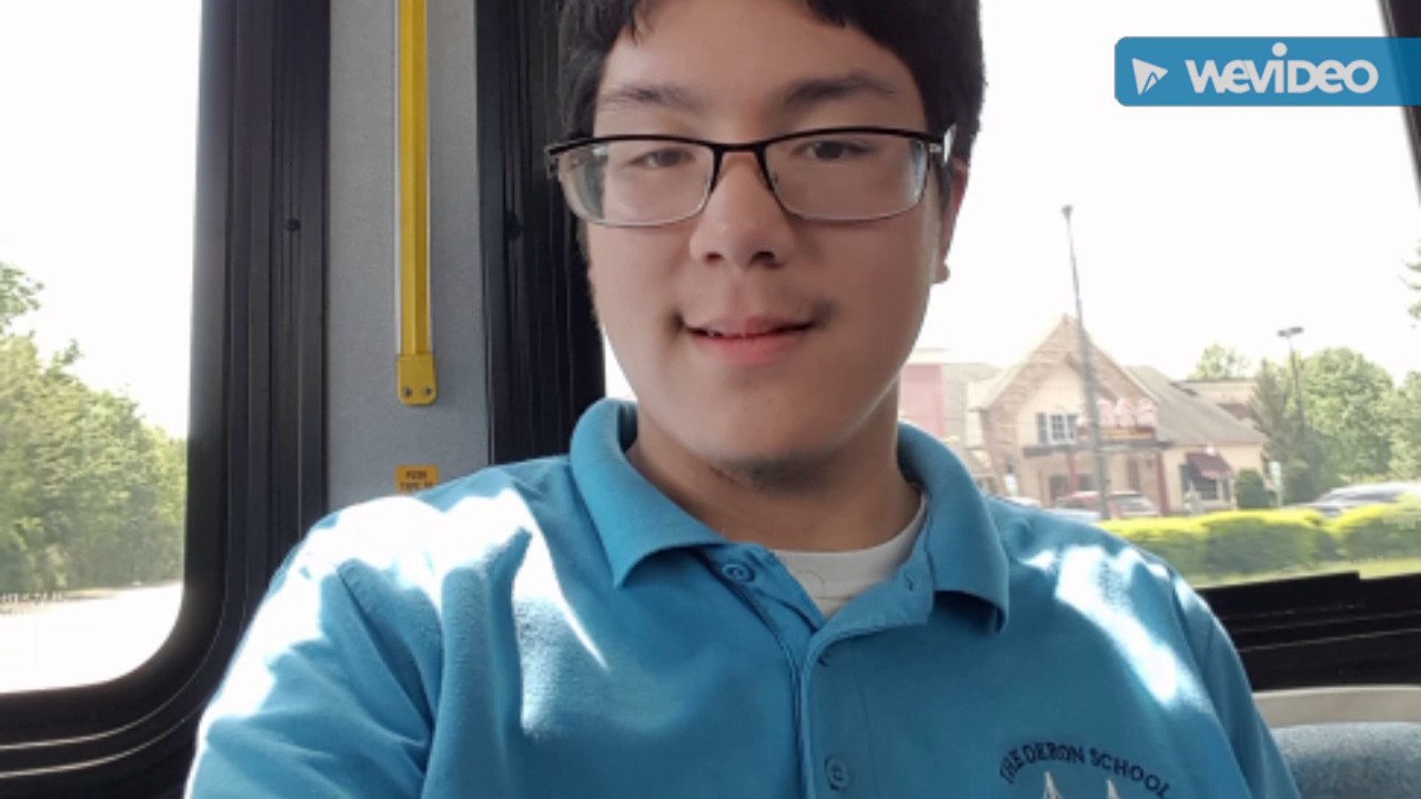 Bus Picture Taking Day