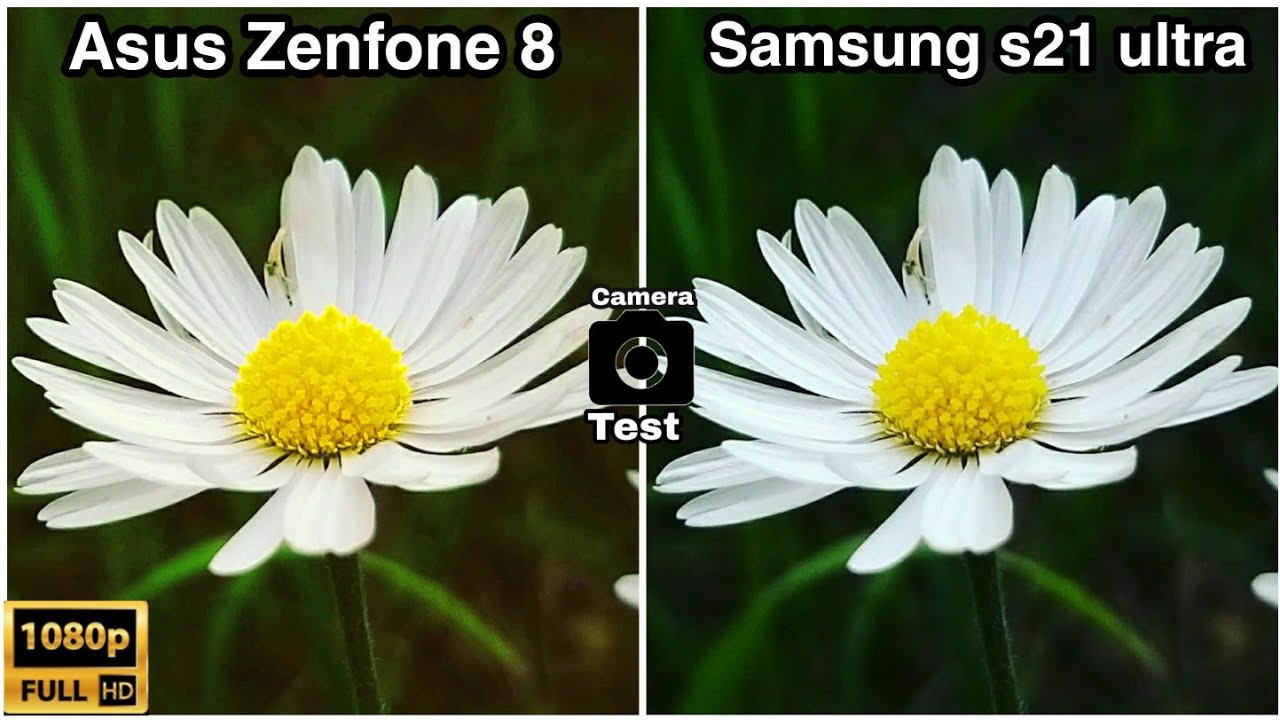 Asus Zenfone 8 vs Samsung S21 Ultra Camera Test Comparison