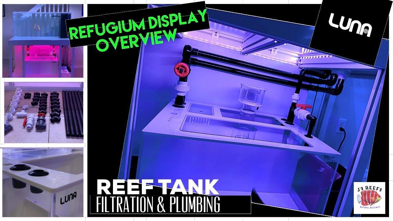 Reef Tank Display Refugium - Luna Reef Customs - Ep.3