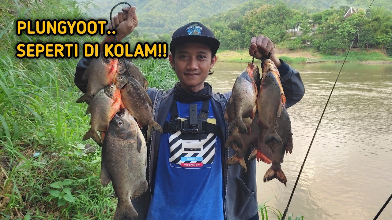 Mancing di sungai strike sampai gembrobyos!!