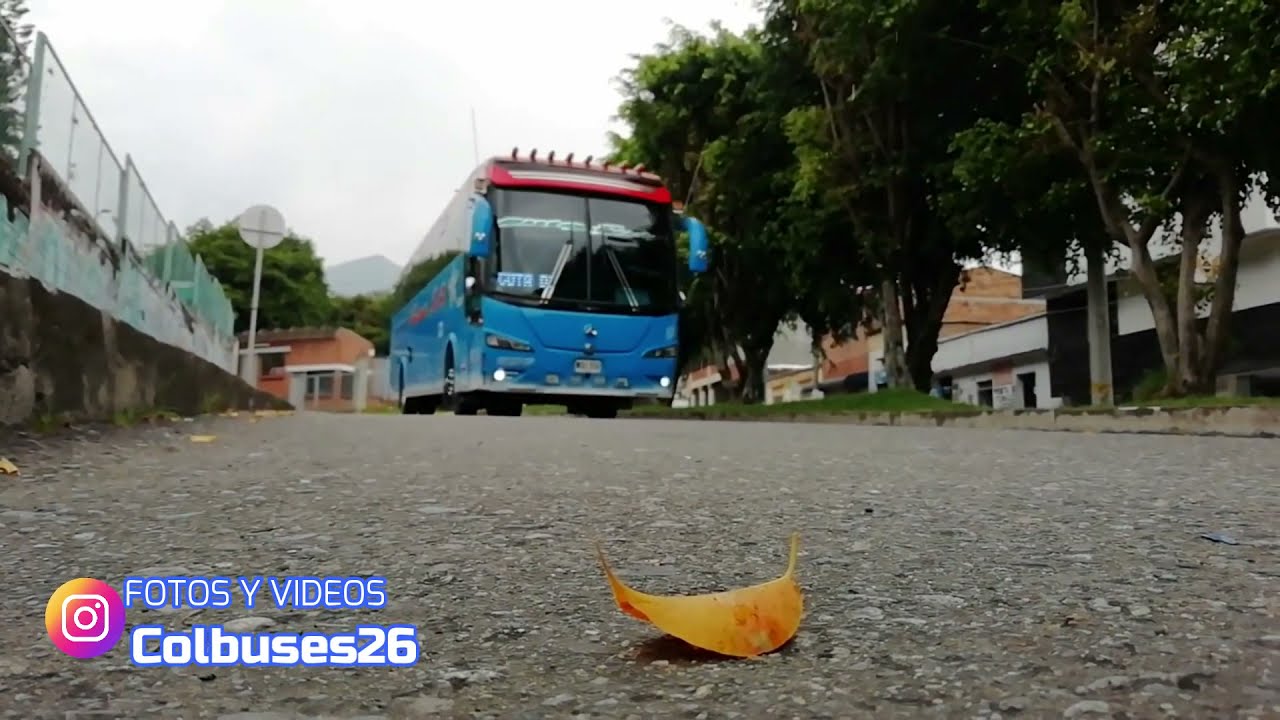 BUSES COLOMBIANOS - BUSOLOGIA A LAS AFUERAS DEL TERMINAL DE IBAGUÉ #2