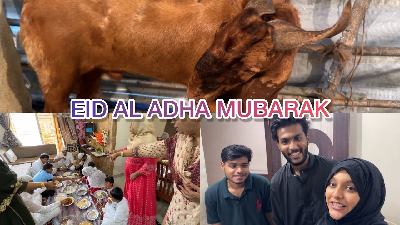 Bakre Ko Dekh Ke Mein Nahi Royi🥹💯| Eid Mubarak | @bush_khan @ibrahim_soul