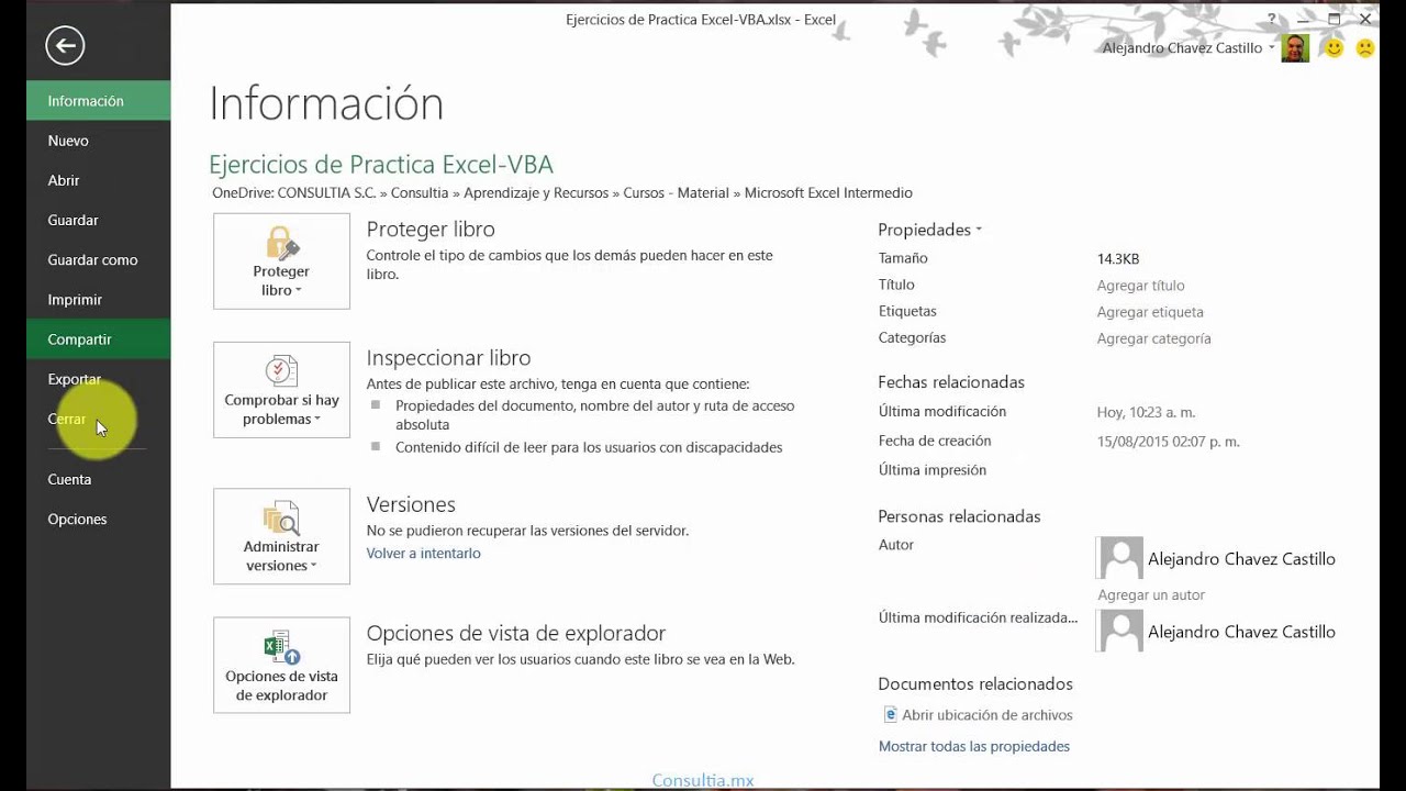 Curso de Excel con VBA