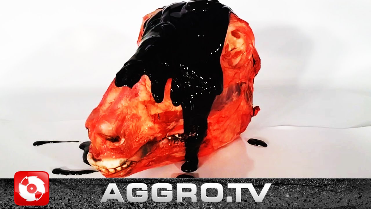 PILZ - WACK MC=X (OFFICIAL HD VERSION AGGROTV)