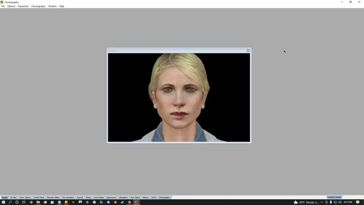 Black Mesa Tutorial 1: Faceposer Setup