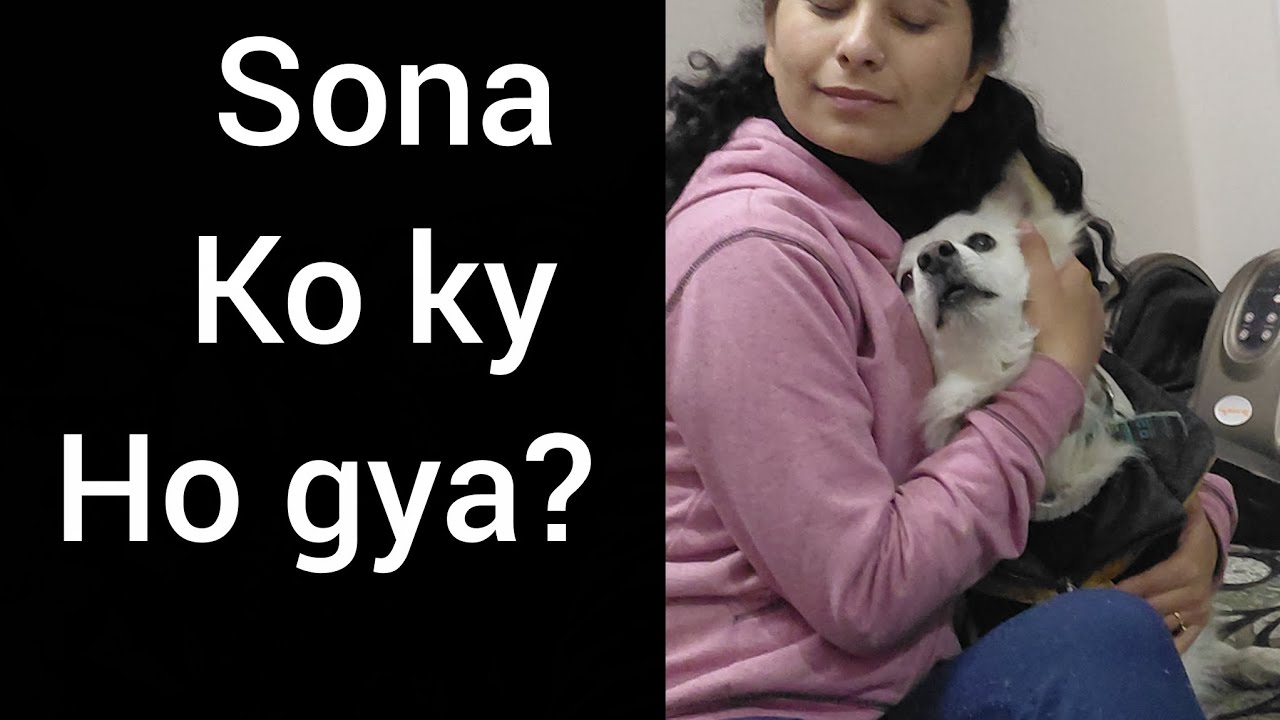 Sona ko kya ho gya ??#daliyvlog #vlog #viral # dogs 