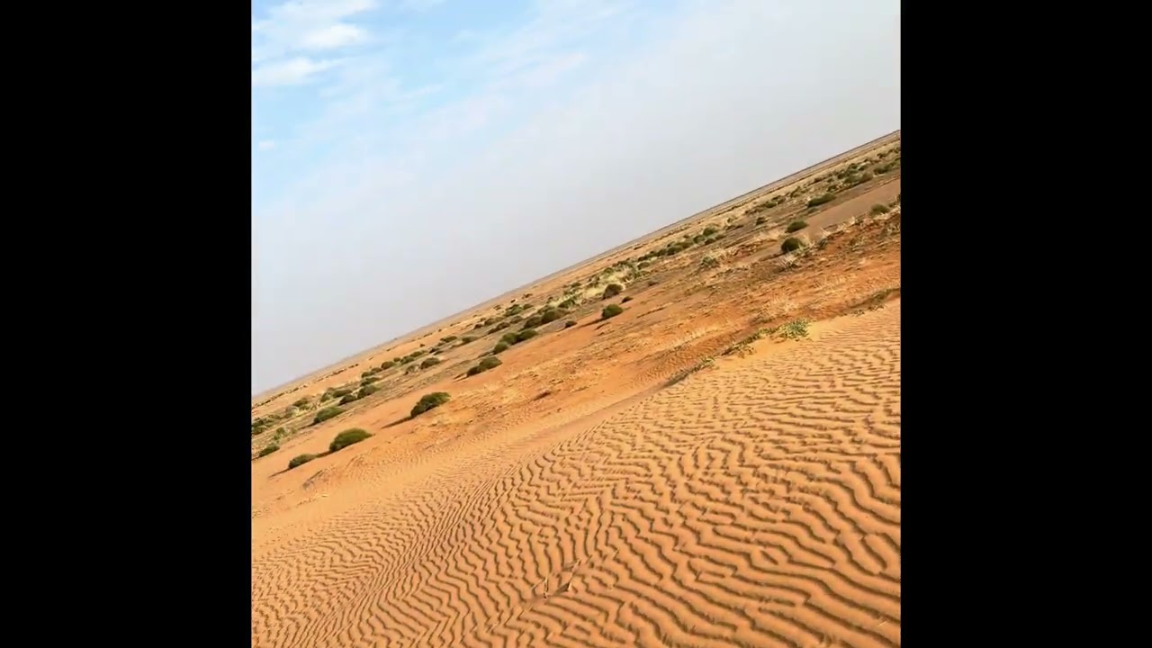 مكان مكشات بالزلفي 