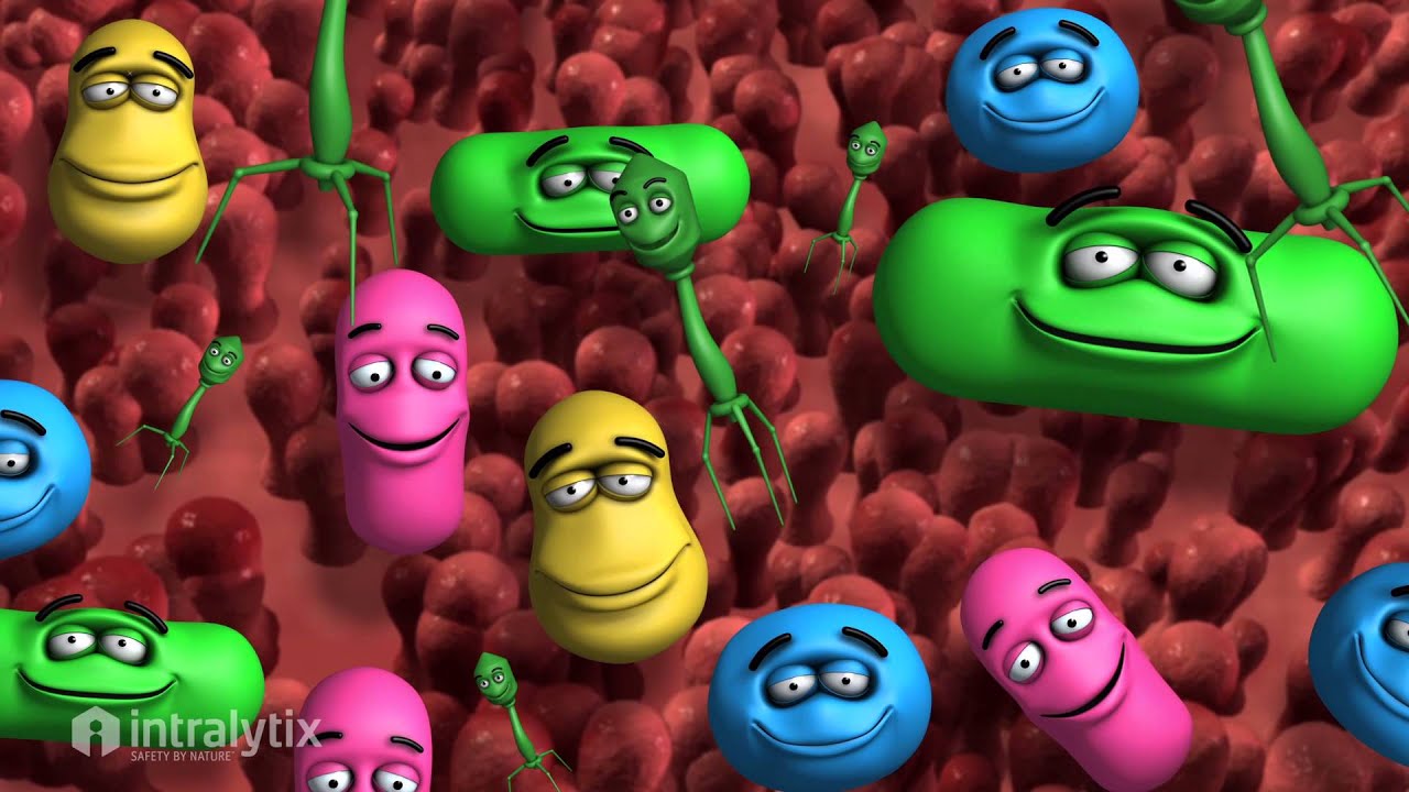 Probiotic Phage