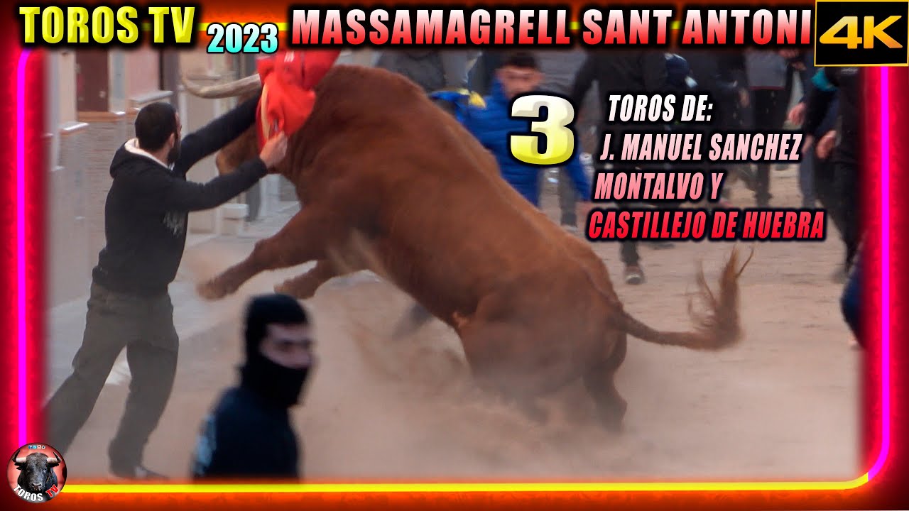 TOROS BRAVOS SANT ANTONI 2023 ✅▶️ MASSAMAGRELL COMISIÓN NUEVA 🪷🐂 TOROS TV