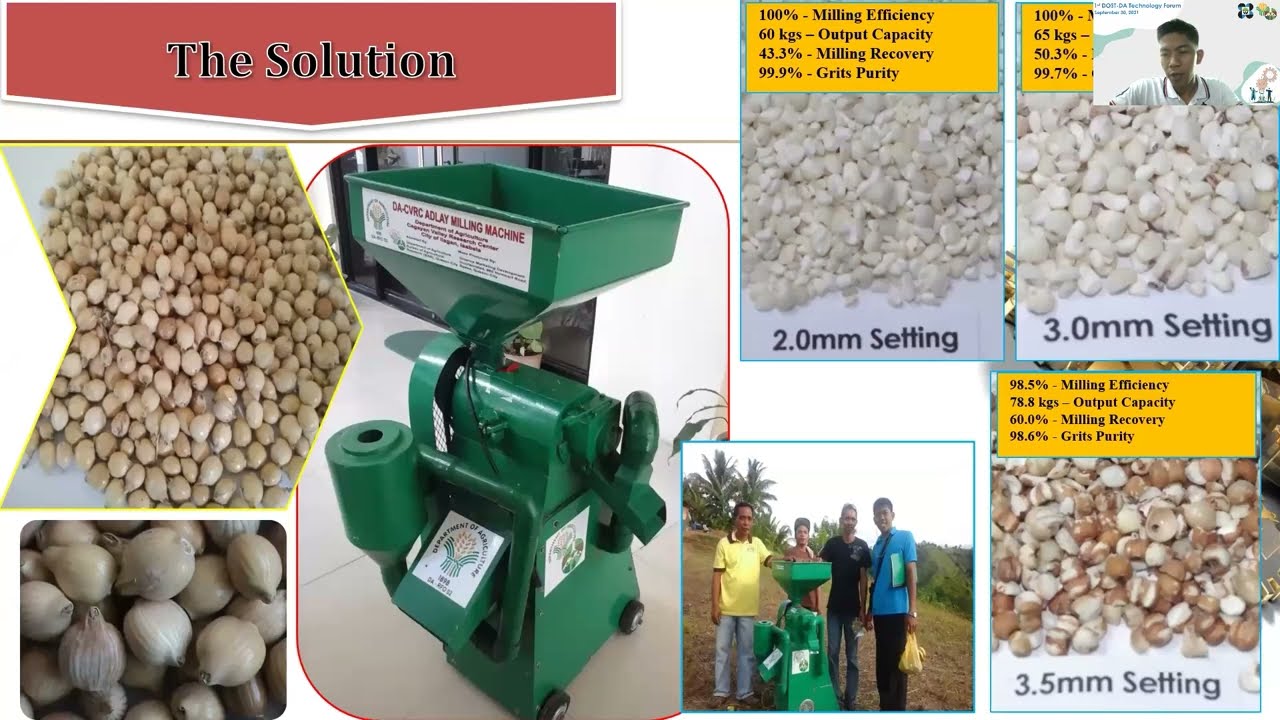 Adlay Milling Machine