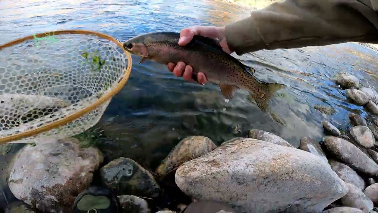 I actually catch fish in this one!