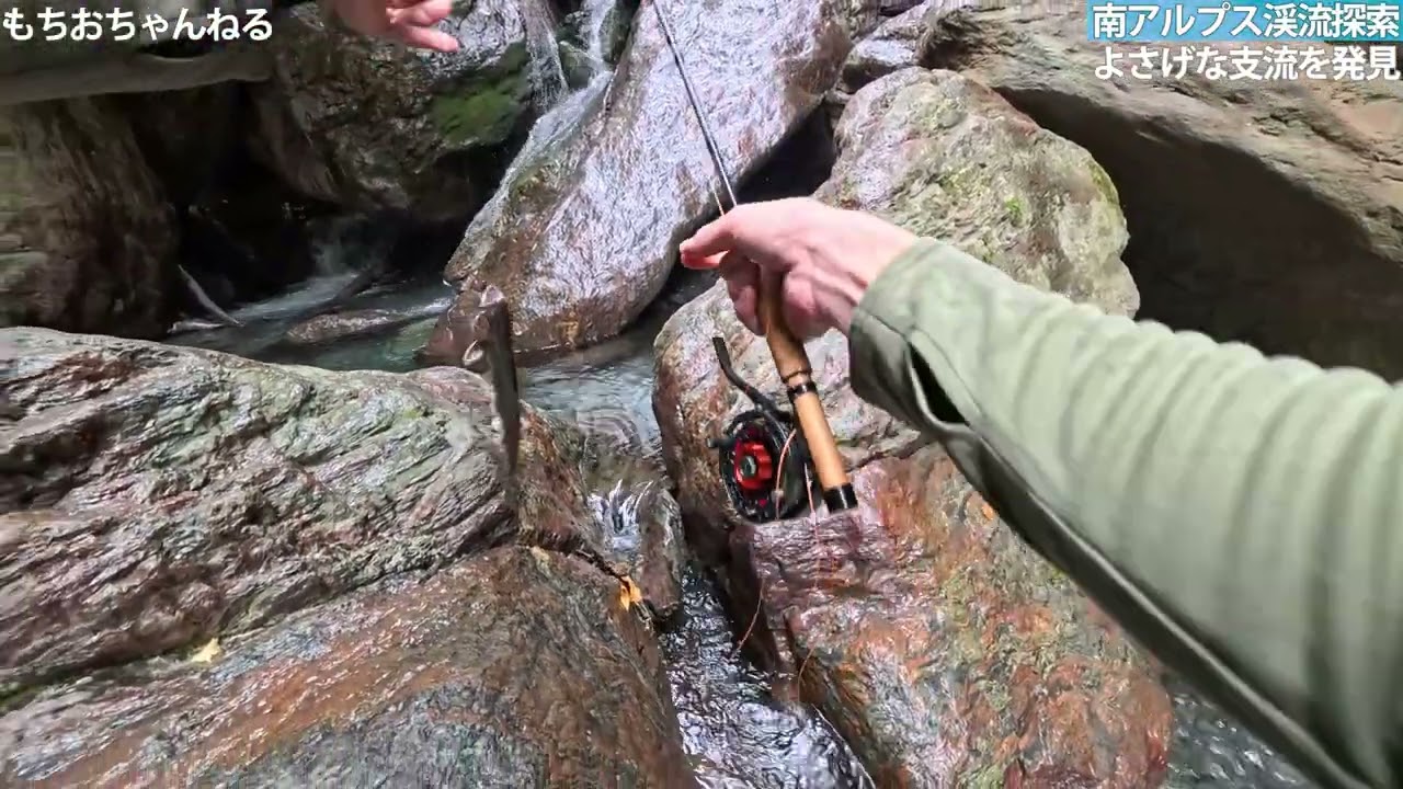 南アルプス渓流探索！