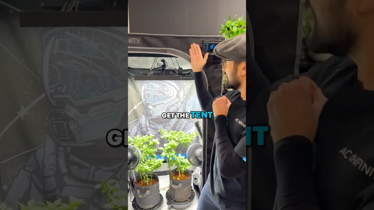 Один комплект палатки = бесконечные урожаи🌱