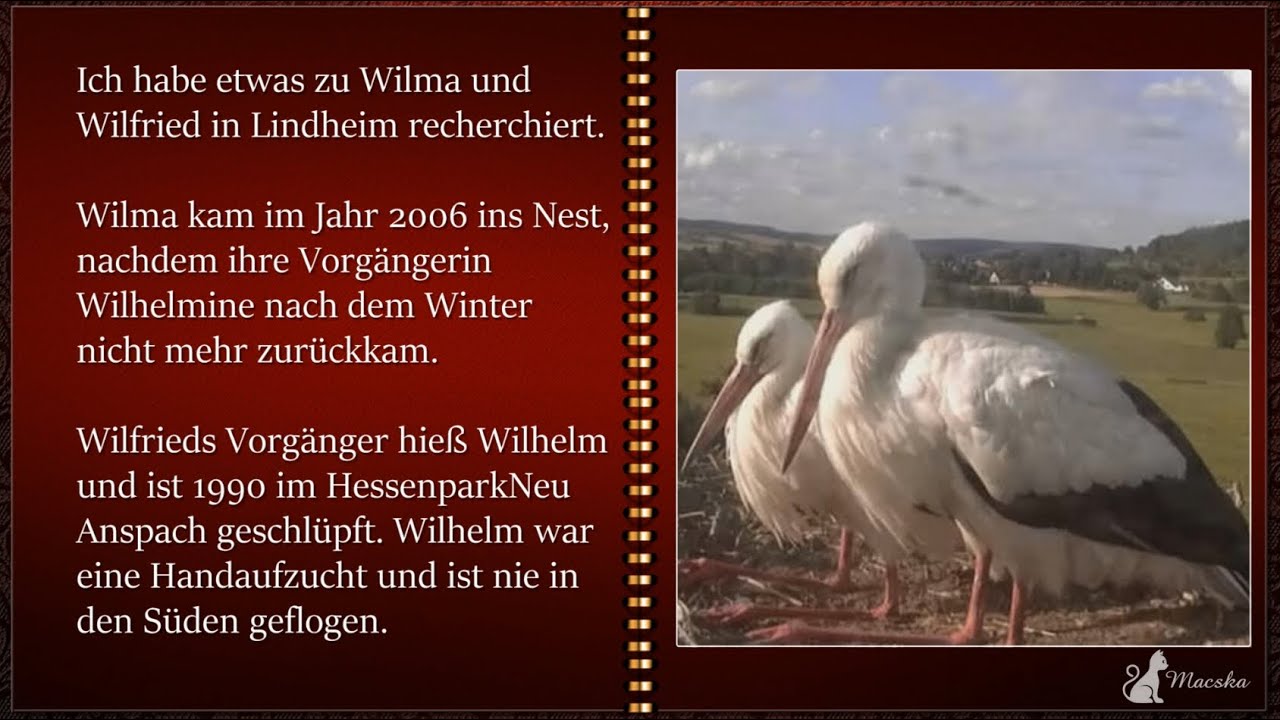 Lindheim DE - 🎉🎈20 Jahre in Lindheim Alles Gute zum Jubiläum, liebe Wilma❤️