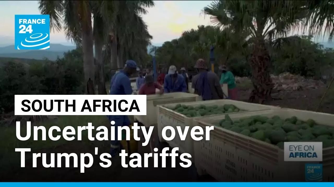 How do US tariffs impact South African economy? &bull; FRANCE 24 English