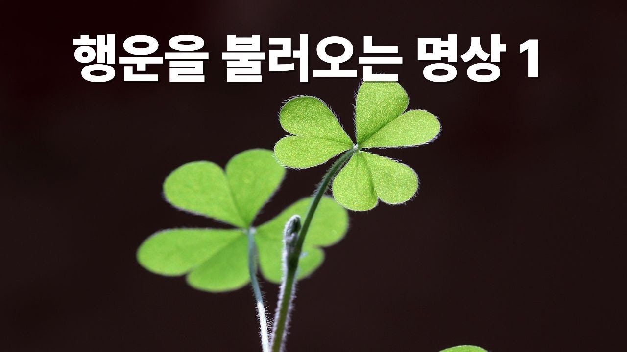 긍정에너지명상 1
