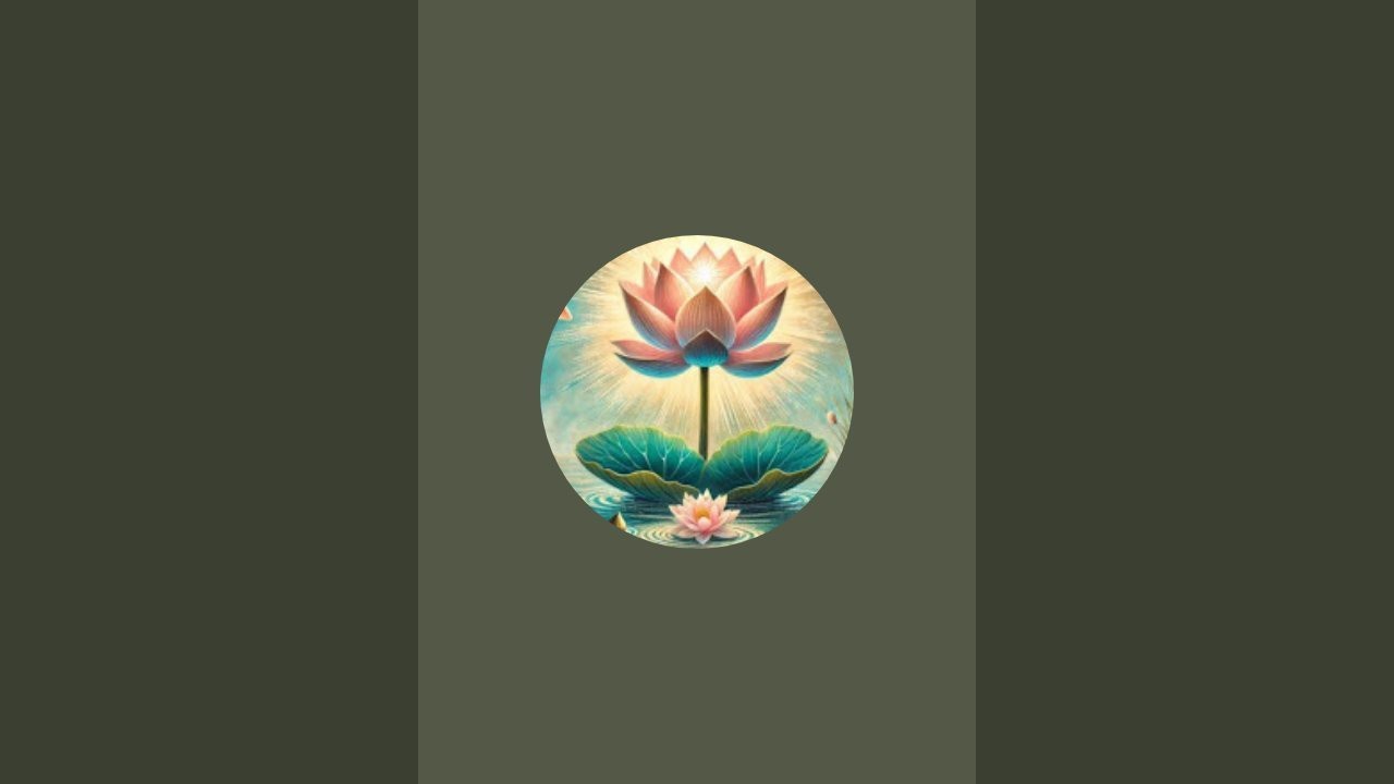 Insights 4M Divine is live!