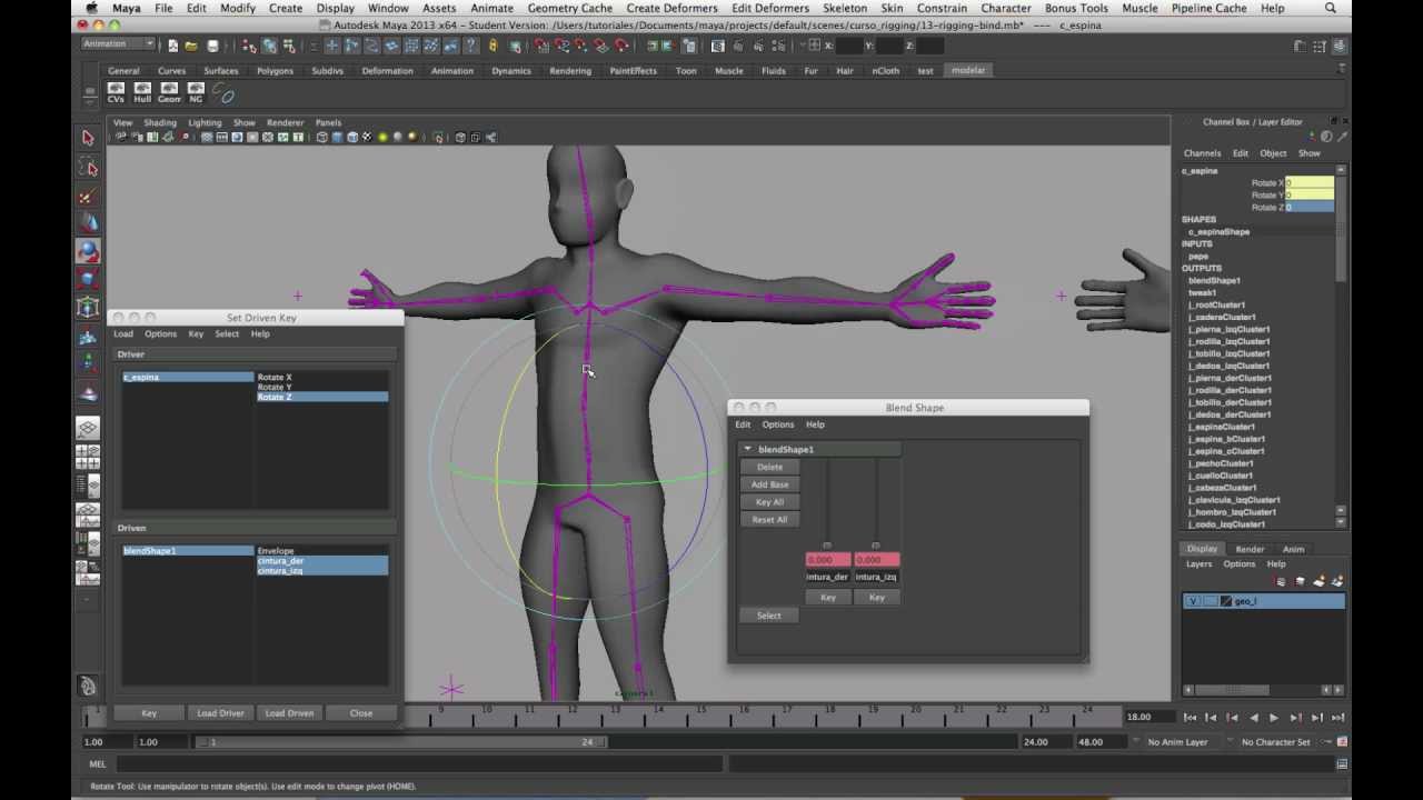 Tutorial Maya, Rigging, parte 14