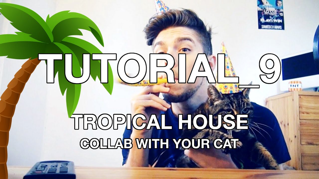 [TROPICAL HOUSE TUTORIAL] Collab With My Cat!
