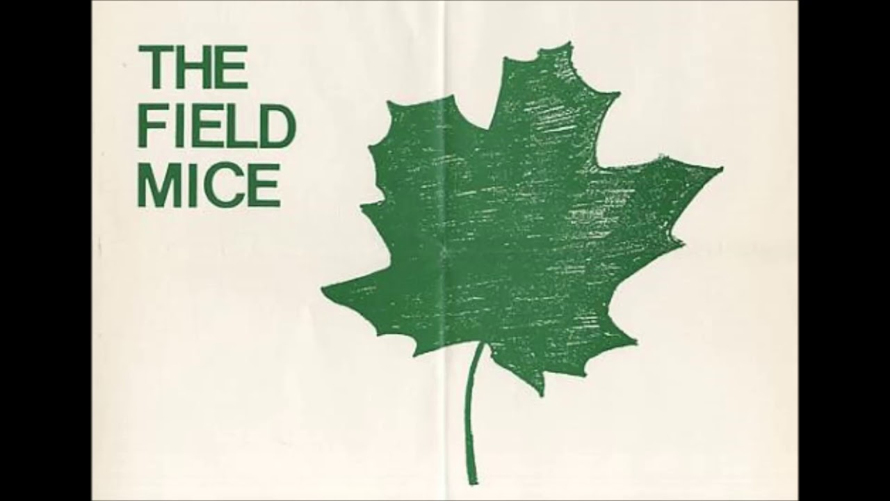The Field Mice - Sarah Records Outtakes - 1989
