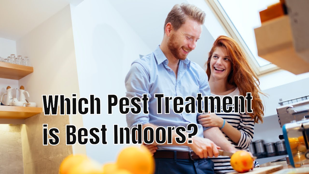 Which Pest Control Treatment is Best for My Home Interior?