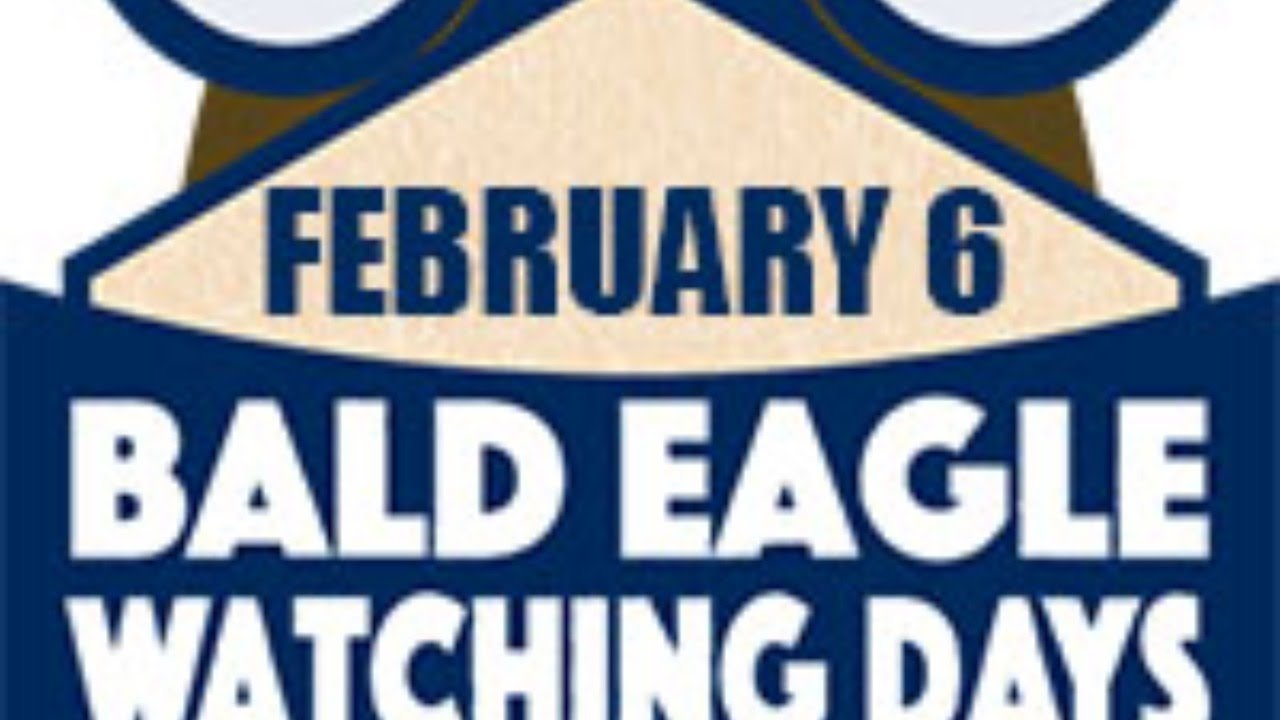 We ♥ Snow Birds! Bald Eagle Behavior and Habitat