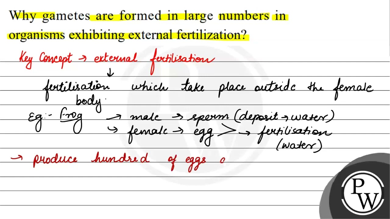 Why gametes are formed in large numbers in organisms exhibiting external fertilization?