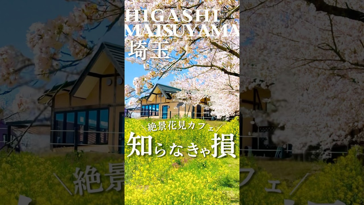 ここやばすぎ🫢コスパ最強の絶景カフェ🌸 #東松山グルメ #東松山 #埼玉グルメ #埼玉 #お花見 #絶景カフェ  #japan #japanfood #sakura #japantravel