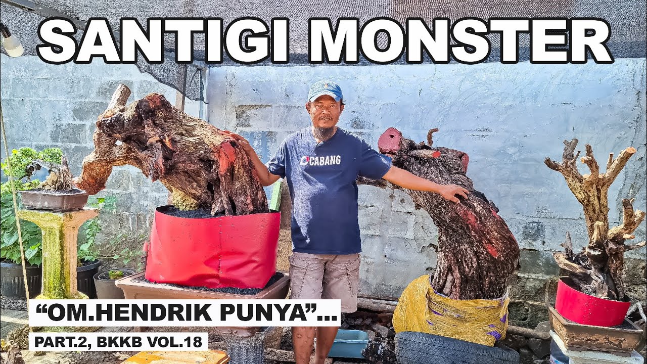 ОБЗОР МАТЕРИАЛОВ MONSTER SANTIGI В ДОМЕ 