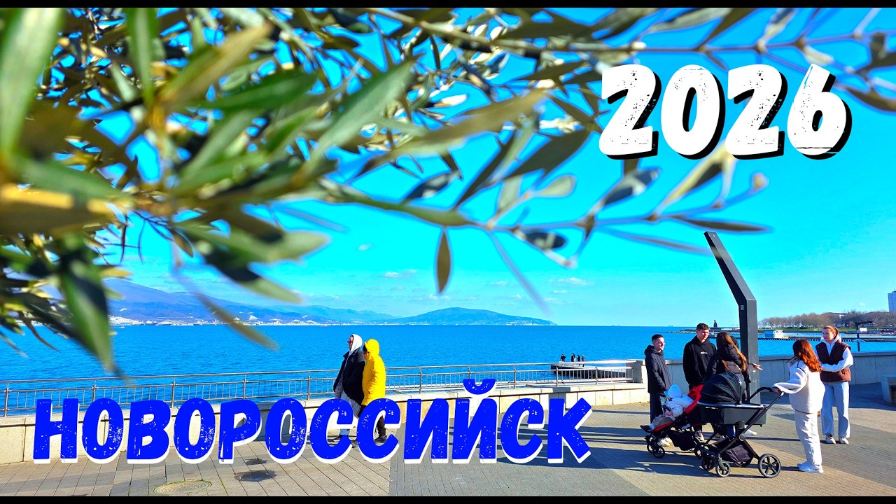 НОВОРОССИЙСК. ЗИМНЯЯ ВЕСНА.... МОРЕ и ЛЮДИ....САЖАЮ ОЛЕАНДРЫ и ЛИГИСТРУМ