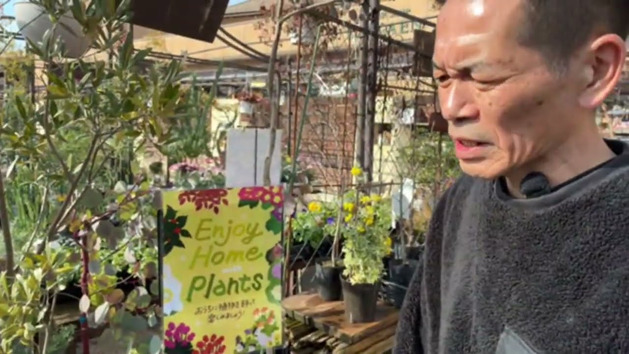 開花園本店　おすすめ植物紹介