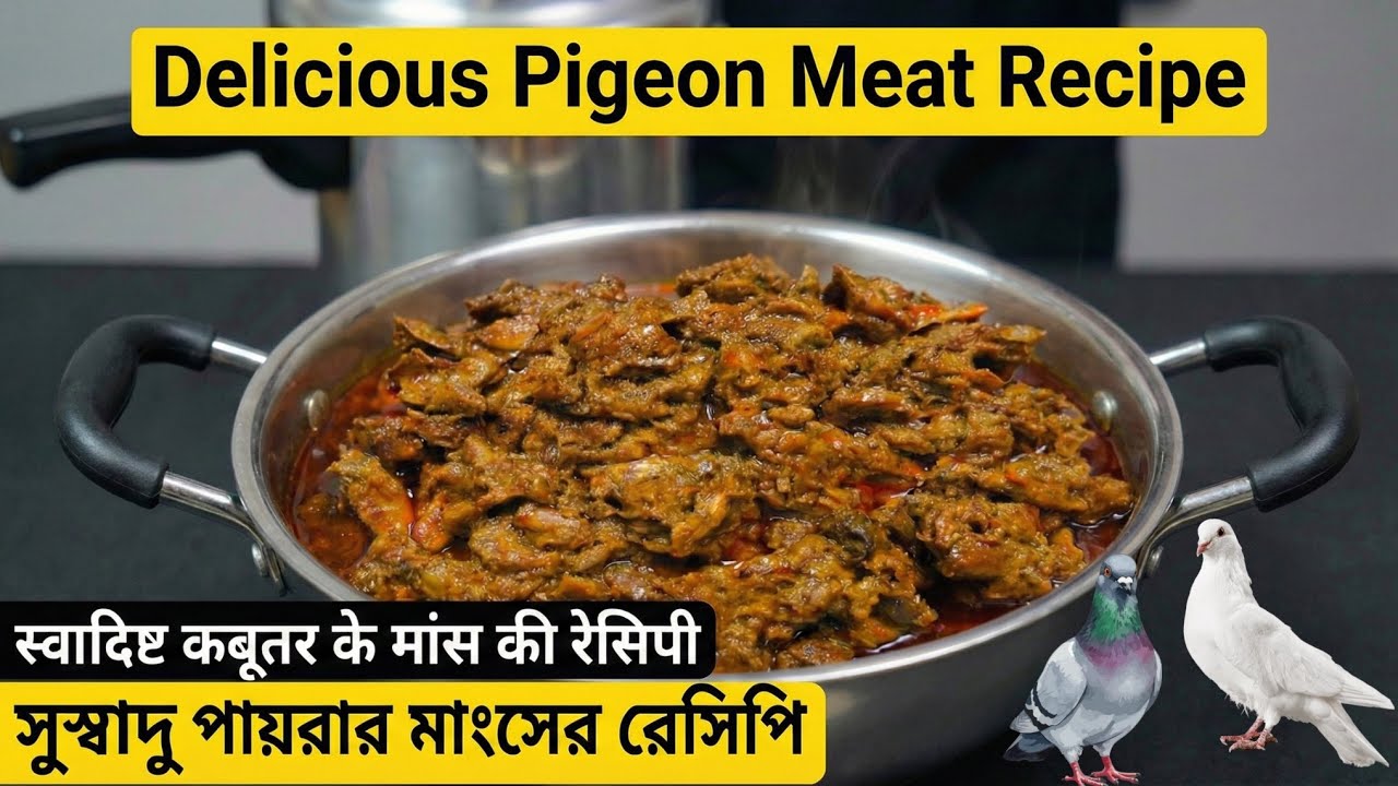 Delicious Pigeon Meat Recipe | स्वादिष्ट कबूतर के मांस की रेसिपी | সুস্বাদু পায়রার মাংসের রেসিপি