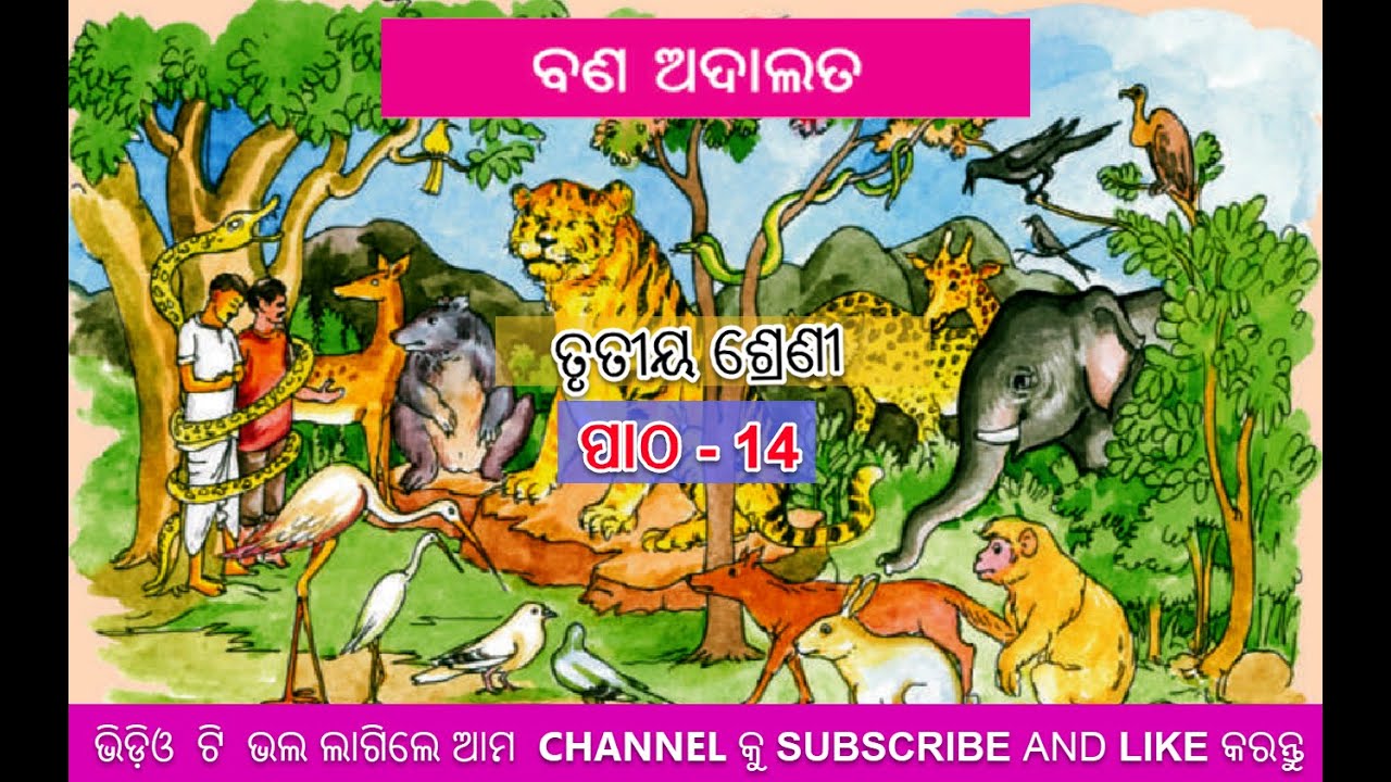 Bana Adalat (ବଣ ଅଦାଲତ)  Class 3 Odia (M.I.L) Chapter 14 | Odia Medium School Odisha