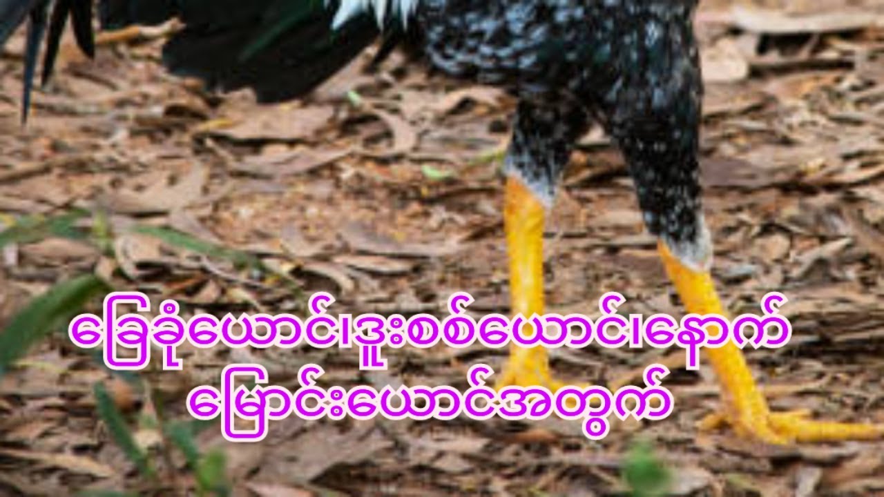 ရိုးရှင်းလွယ်ကူသည့်မြန်မာ့ ဆေးနည်း