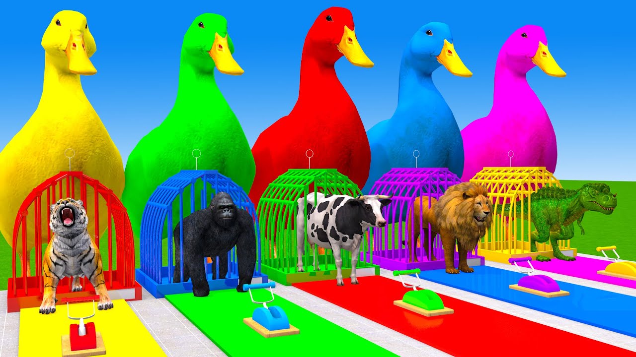 Long Slide Game With Cow Elephant Gorilla Hippopotamus Tiger 3d Animal Game Funny 3d Animals
