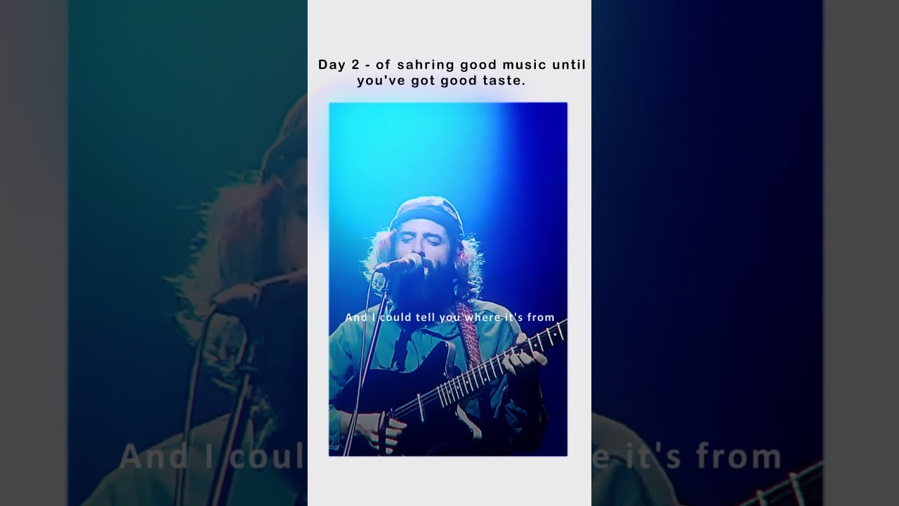 day 2 of giving u good music taste Mild High Club - Homage #mildhighclub #lyrics #musiclyrics