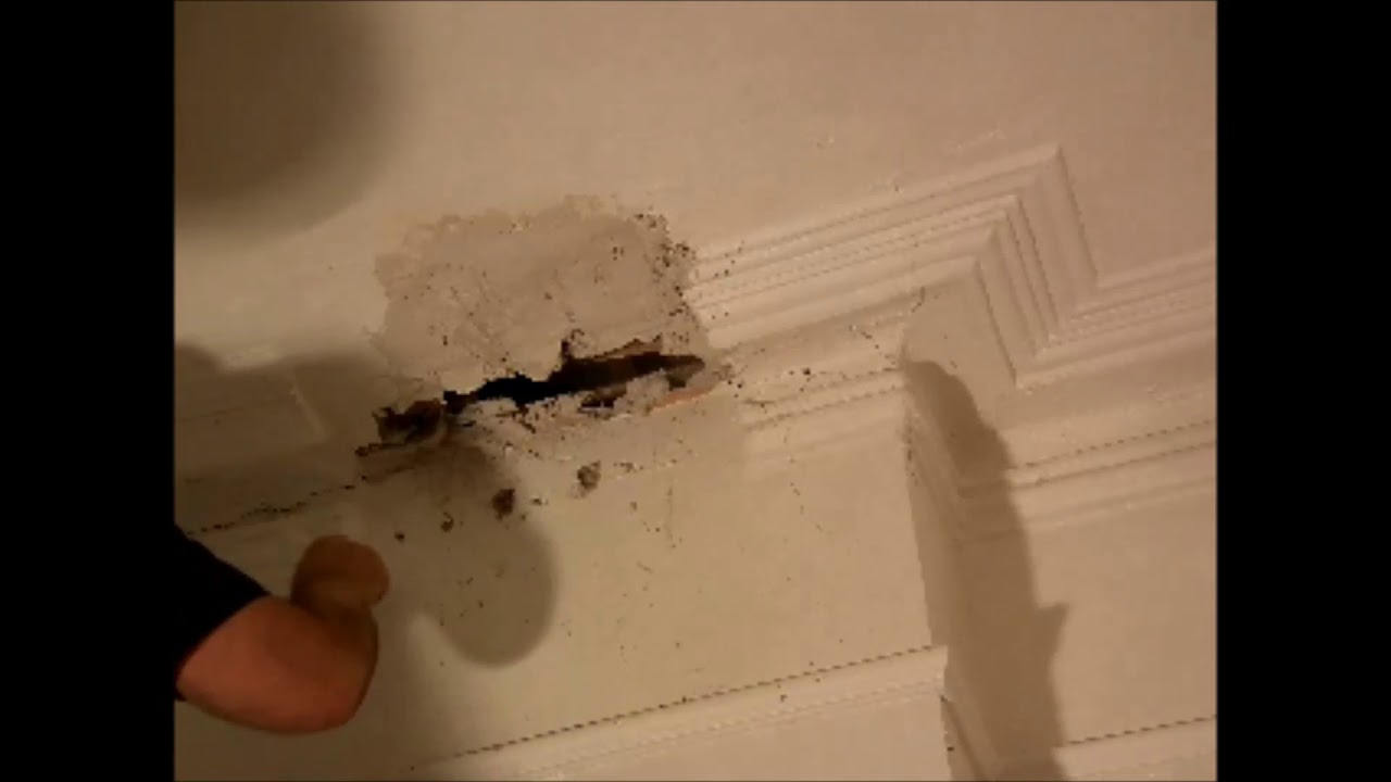 Lath and Plaster   Freehand Cornice Repair