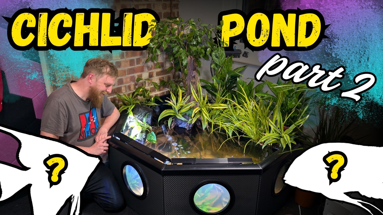 Adding Fish and Plants to the Cichlid Jungle pond! I have a pond in my garage!
