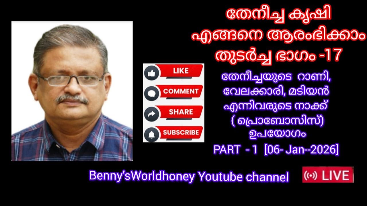 തേനീച്ച വളർത്തൽ  Part  17 റാണി തേൻ തനിയെ എടുത്തു കഴിക്കുമോ?? തേനീച്ചയുടെ പ്രൊബോസിൻ്റെ ഉപയോഗം