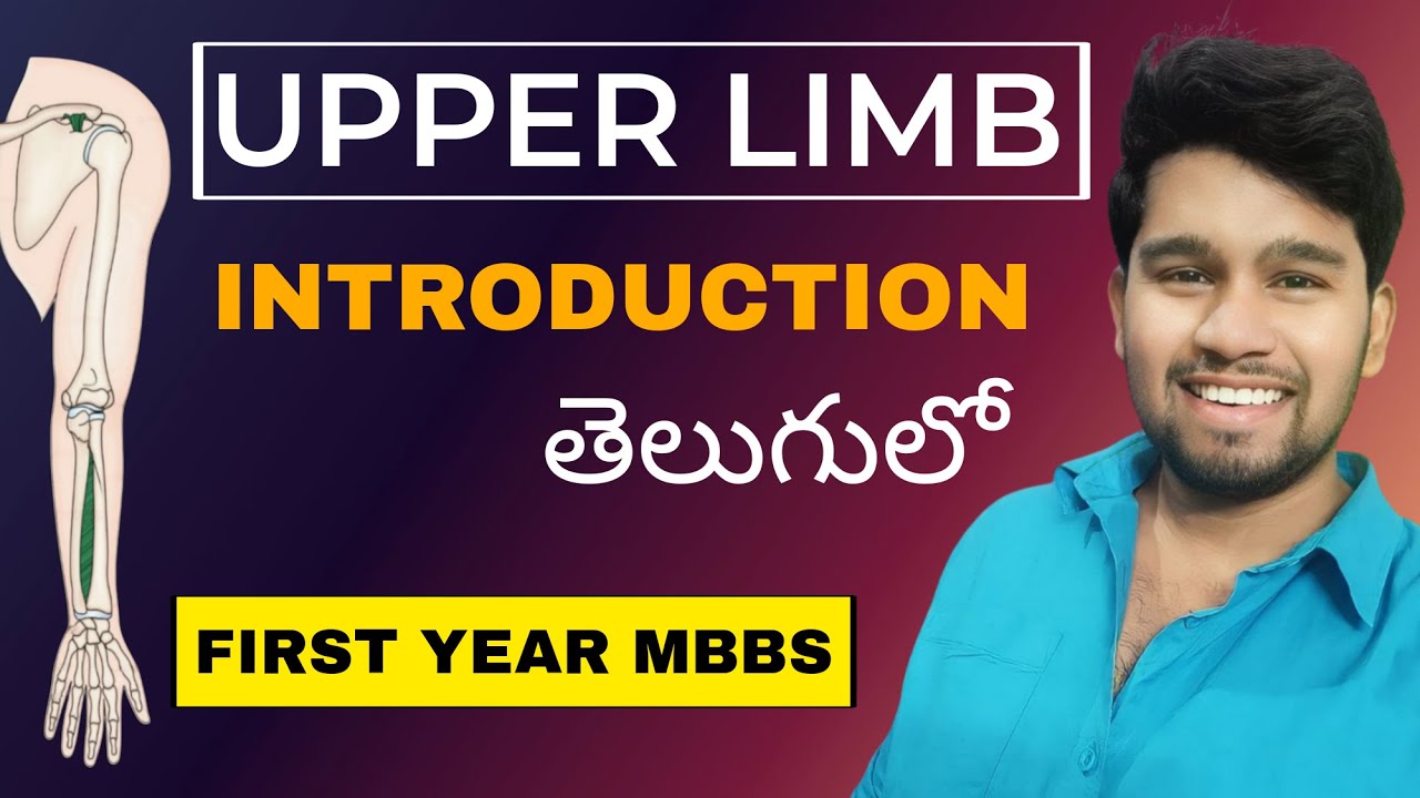 UPPER LIMB INTRODUCTION I FIRST YEAR MBBS IN TELUGU I MEDIBEATS I UPPER LIMB JOINTS I RUPESH I